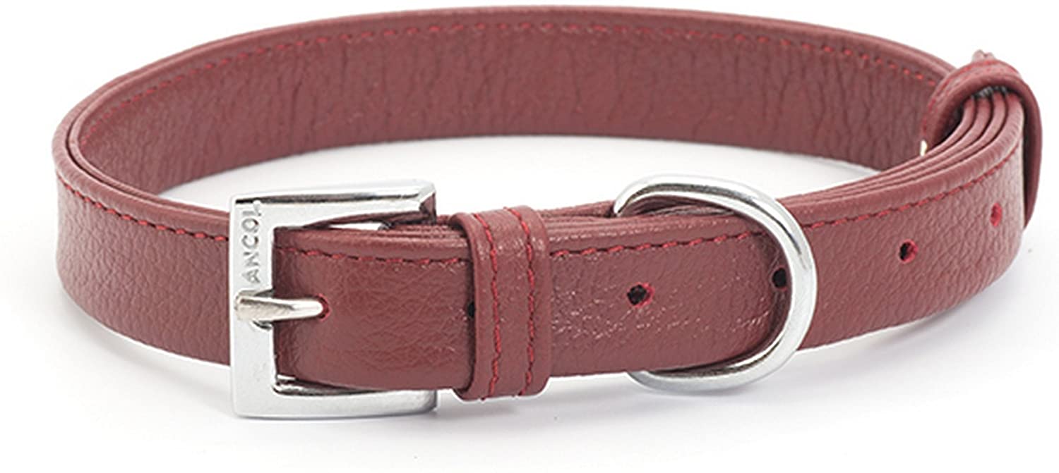 Ancol Indulgence Folded Burgundy Dog Collar 26-36cm RRP 6.99 CLEARANCE XL 11.99